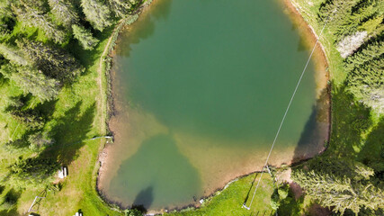 Canvas Print - Alpin lake in summer time surrounded by beautiful forest, overhead downward aerial view