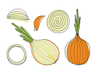 Hand drawn vector illustration – onion isolated on white. Concept of healthy food, vegetable. Cartoon doodle style. Set of elements for your design