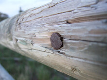 Nail Head In Wood Fence Post