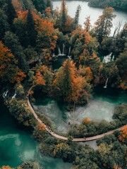 lake in the forest