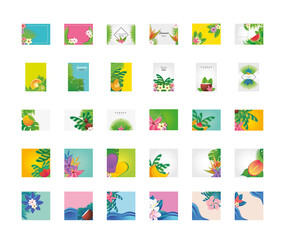 Wall Mural - set of templates summer with flowers, fruits and symbols of summer