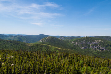 Wall Mural - Beautiful landscape in the Grands-Jardins national park, Canada