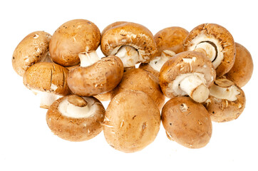 Brown royal champignons on white background. Photo