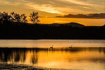 Wall Mural - sunset on the lake