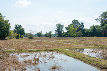 The country landscape at Don Det in 4000 islands, Champasak Province, Laos.