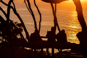 Sunset at La Jolla city with Christmas light