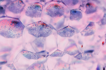 Aufkleber - Close up Beautiful pink abstract soap bubbles. Background pattern for design. Macro photography view.
