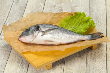 Raw Dorada fish  for cooking