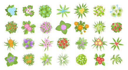 Sticker - Vector set. Flowers. Top view. Collection of different flowers for architectural and landscape design. (View from above) Nature green spaces.