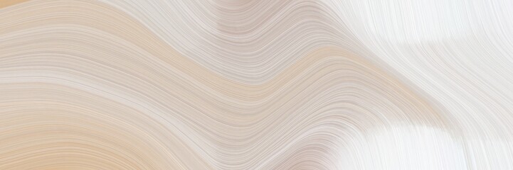 Fototapete - abstract modern horizontal banner with pastel gray, white smoke and dark gray colors. fluid curved flowing waves and curves for poster or canvas