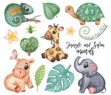 Watercolor Wild Animals Clipart, Jungle, Safari Set. Cute Little Animals, Giraffe, Hippo, Elephant, Chameleon, Turtle, Tropical Plants. Stock Illustration On White Background