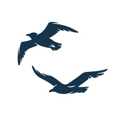 Wall Mural - Seagull in the sky for nautical marine design