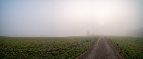 Canvas Print - Panorama of a morning field in foggy weather