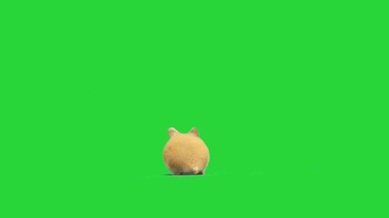 Sticker - hamster on a green screen