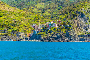 Wall Mural - Terraced vineyards surround the pastel coloured buildings of Manarola, Italy in the summertime