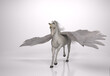 3D Render : the portrait of Unicorn horse with wings