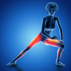 Poster - 3D female figure in thigh stretch pose with muscles used highlighted