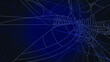 © Дмитрий - Spider Web On Dark Background Halloween Design Elements Spooky Scary Horror Decor Vector