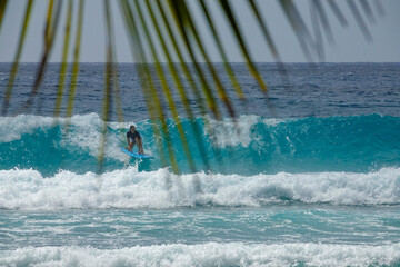 Wall Mural - CLOSE UP: Young female tourist on vacation in Barbados surfs a big barrel wave.