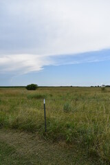 Wall Mural - Field