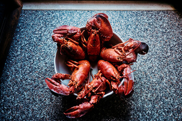 salad bowl with six boiled lobsters