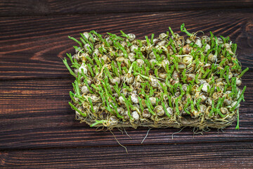 Wall Mural - Cutted microgreen pea sprouts on old wooden table. Vegan and healthy eating concept. Growing sprouts.