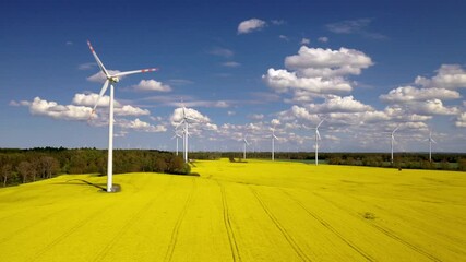 Wall Mural - Renewable energy, wind energy with windmills. Wind turbines farm generating electricity on rapeseed fields - aerial view. Clean and ecological energy concept. Rural landscape in Poland