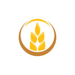 © evandri237@gmail - Wheat Logo Template vector symbol
