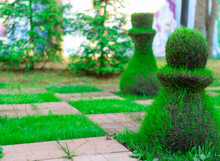 Chess Pieces Made From Grass. Image Of A Street Chess Piece.