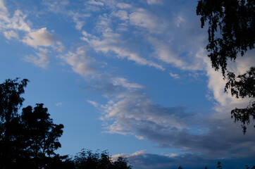 Wall Mural - sky after summer rain, nature