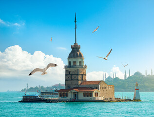 Wall Mural - Seagulls near Maiden Tower