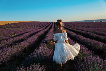 Wall Mural - sexy woman with blond hair in elegant clothes with accessories posing in blooming lavender fields