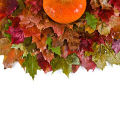 Wall Mural - Pumpkin on the fallen autumn leaves isolated on a white background. Top view.