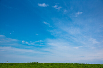 Wall Mural - 空