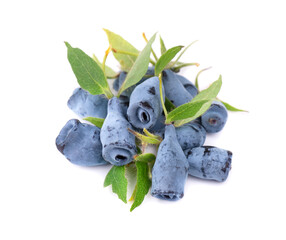 Fresh honeysuckle blue berry fruits with leaf, isolated on white background.