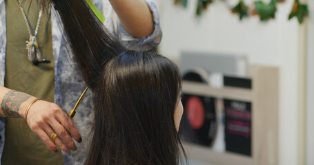 Wall Mural - Woman hair cut in beauty salon