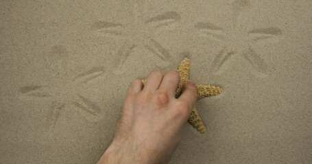 Wall Mural - Imprints of a seastar on the sand. In real time. A male hand makes star imprints on the sand.