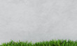 The concrete wall has algae stains on the ground beneath it is bright green grass. Walls and grasses on the lawn. 3D Rendering