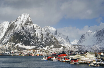 Poster - Reine Resort in Lofoten Archipelago, Norway, Europe