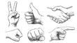 Hand drawn gestures. Pointer finger, strong fist and punch. Handshake, thumb up like and triumph victory gesture sketch vector illustration set. Engraved hand signals and signs for communication