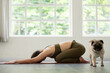 © 220 Selfmade studio - Athletic Asian woman practice yoga Child's pose to meditation in the morning with dog Feeling so calm comfortable and relax,Healthcare and yoga at home Concept