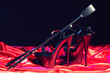 © filins - Adult sex games. Kinky lifestyle. Spank and a pair of black high-heeled shoes on the red linen. Bdsm outfit