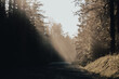 © Василий Котляров - rays make their way through the trees to the road in the forest