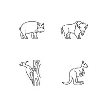 Various Animals Pixel Perfect Linear Icons Set. Customizable Thin Line Contour Symbols. Hippopotamus, Woodpecker, American Bison And Kangaroo. Isolated Vector Outline Illustrations. Editable Stroke