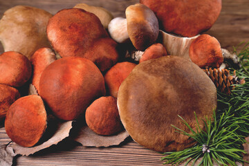 Edible mushrooms, porcini and boletus on a natural wooden background close-up