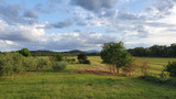Fototapeta Konie - Fields of the countryside of Umbria, that is known as the green heart of Italy.