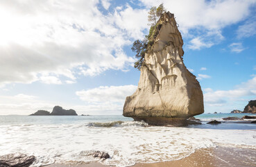 Wall Mural - Cathedral beach