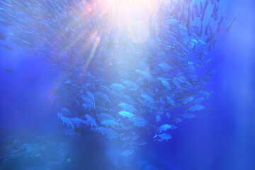 sun rays scuba reef / blue sea, abstract background, sunny day, rays in water