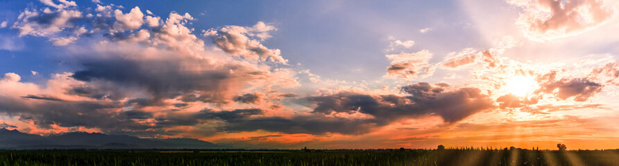 Wall Mural - bright sunlight through the clouds against a breathtaking evening sky at sunset. panorama, natural c