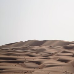 Wall Mural - sand dunes in the liwa desert